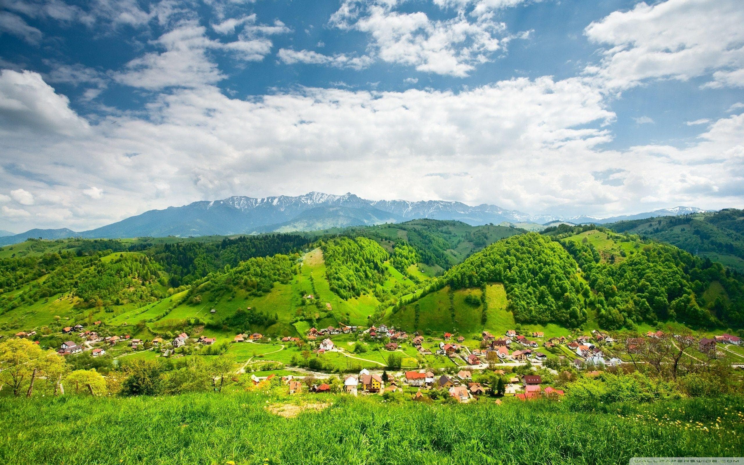 Self Sustainable Village